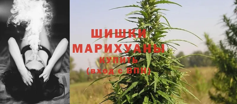 где можно купить наркотик  ссылка на мегу сайт  МАРИХУАНА SATIVA & INDICA  Коммунар 